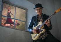 Wellington musician to release new folk-rock album